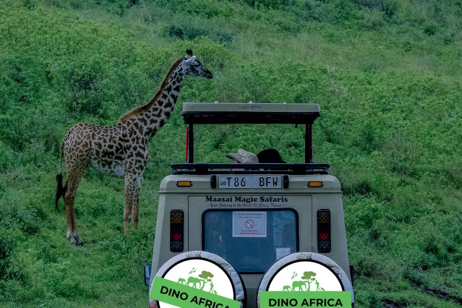 8 days wildlife safari in Kenya and Tanzania