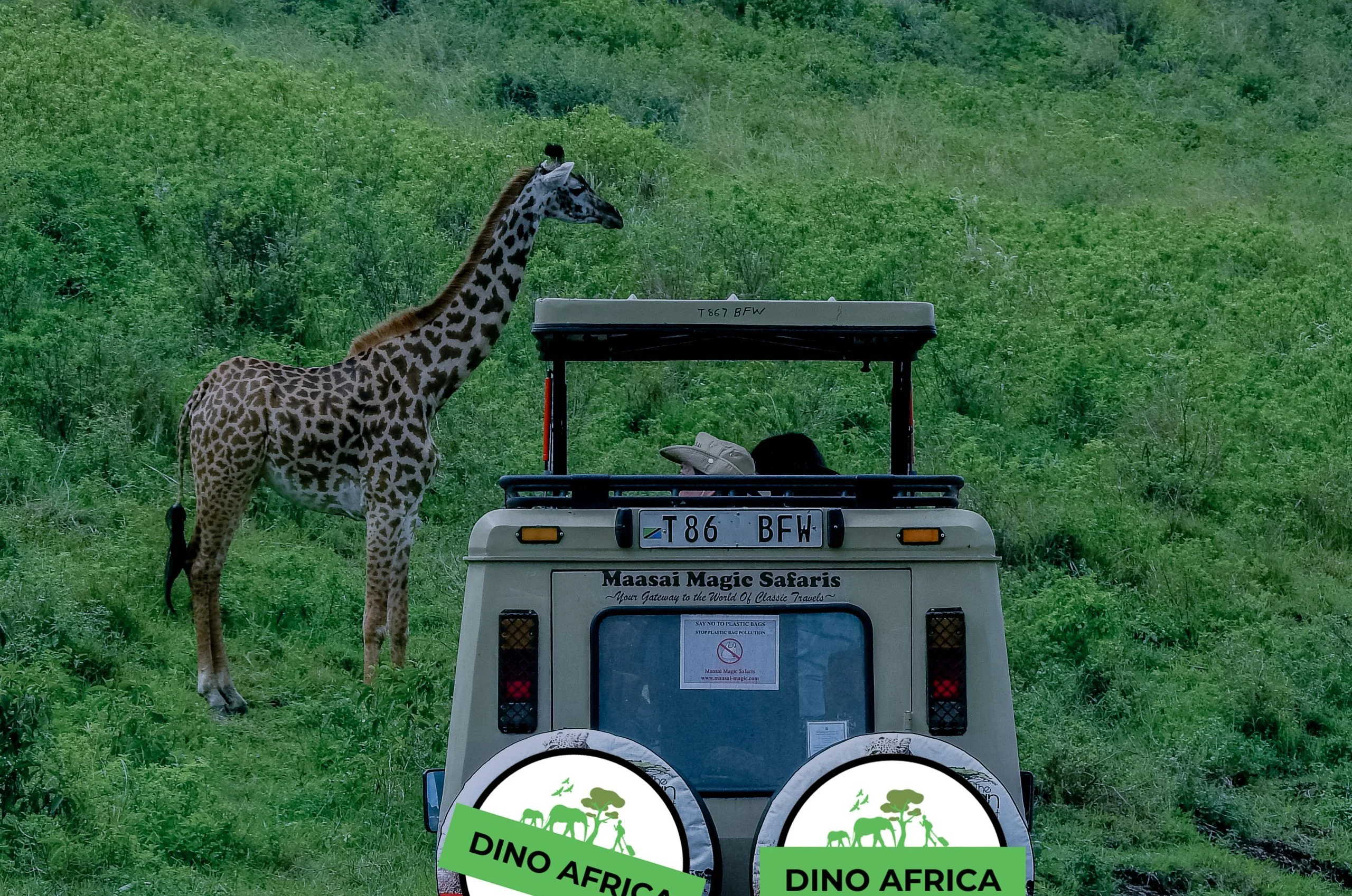 1 Day: Akagera wildlife safari in Rwanda
