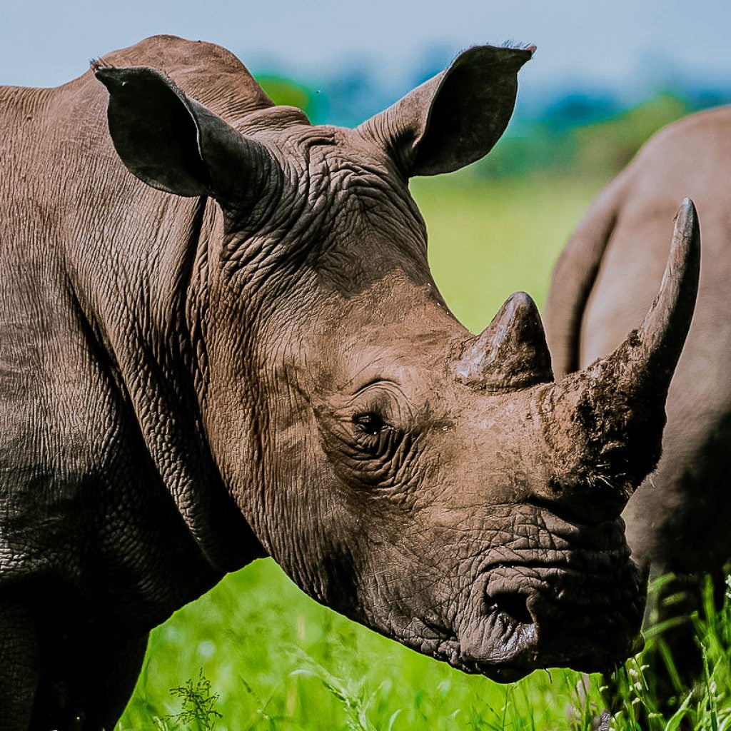 Akagara National Park