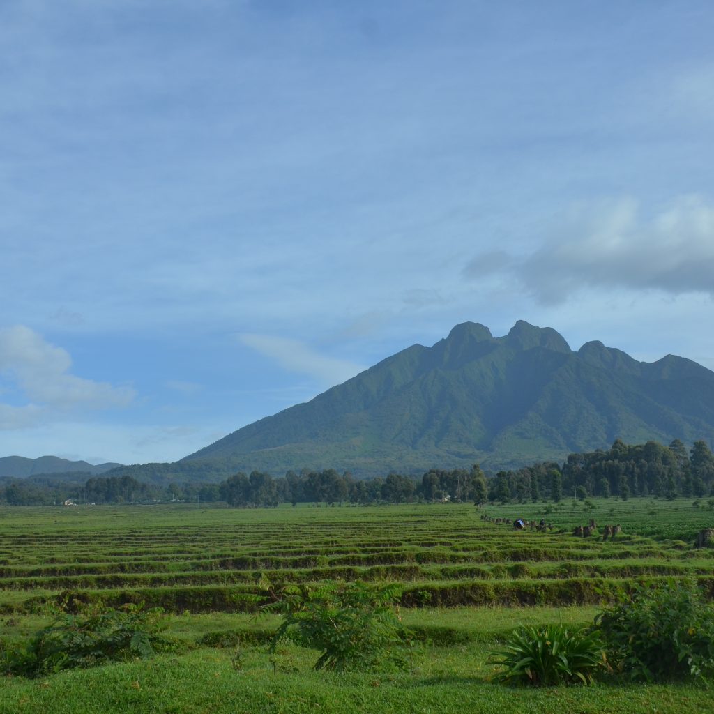 Volcanoes National Park