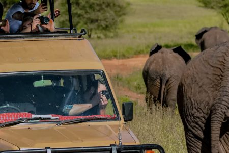 2 Day and 1 night: Akagera wildlife safari in Rwanda