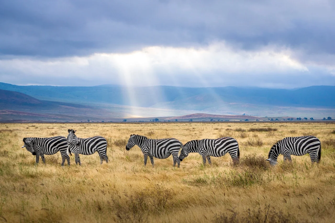 5 Days wildebeest migration safari in Tanzania