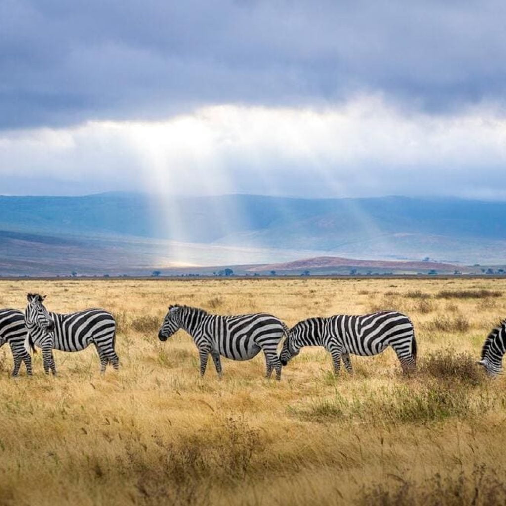 Akagera National Park