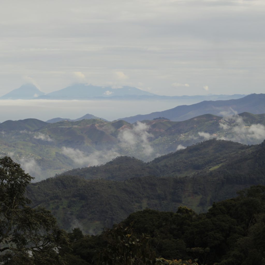 Nyungwe National Park