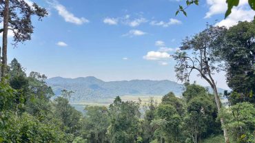 view of kamiranzovu swamp on cyinzobe trail