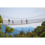 Canopy walk