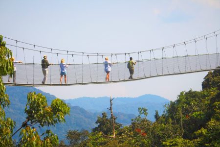 Canopy walk